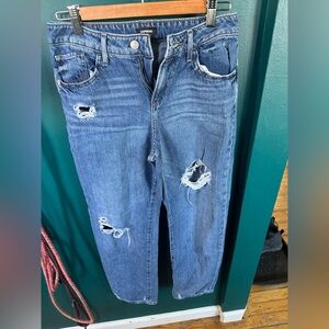 Express Blue Distressed Ankle Jeans